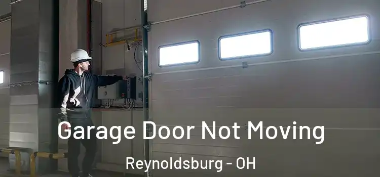  Garage Door Not Moving Reynoldsburg - OH