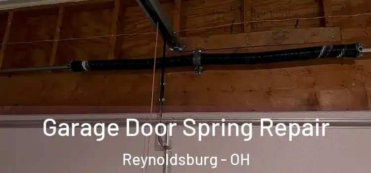  Garage Door Spring Repair Reynoldsburg - OH
