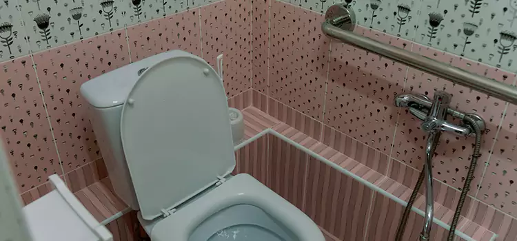 Meeting Diverse Needs With Accessible Restroom Solutions in Reynoldsburg, OH